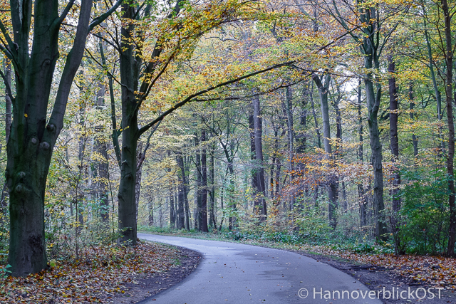 a-hbo-0265-herbst-eilenriede-hannover